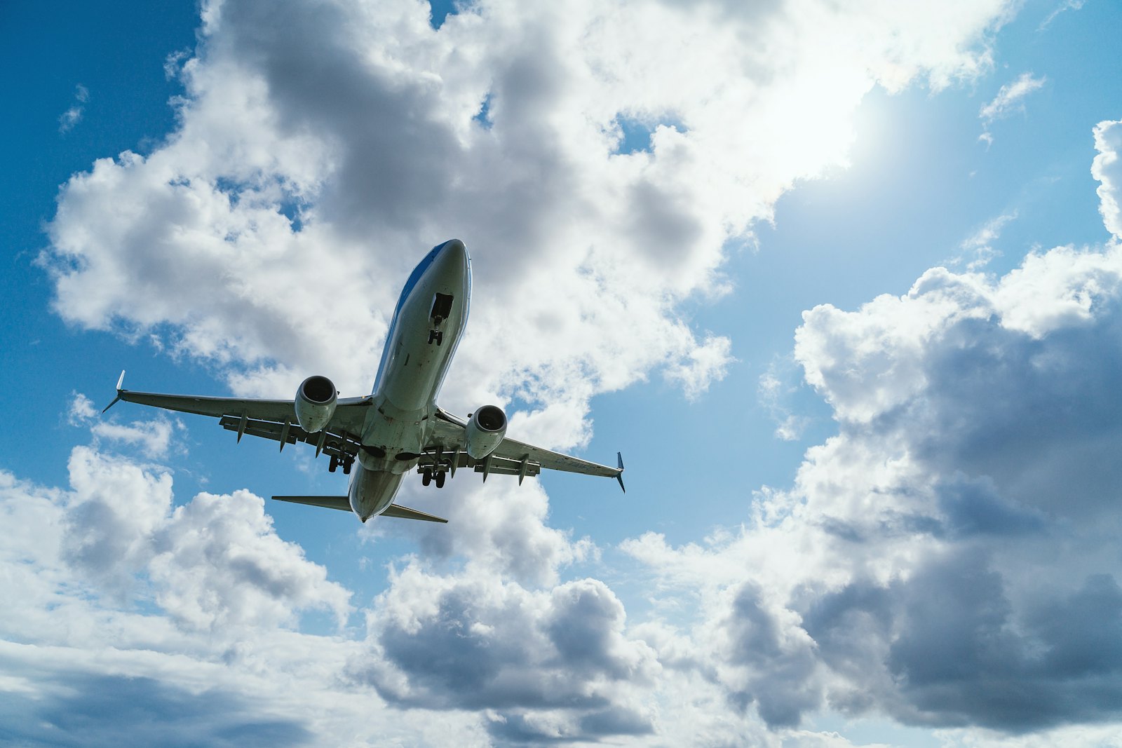 Cabin Crew Programme