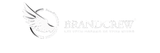 brandcrewaviationacademy.com