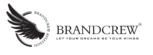 Brandcrew Aviation Academy Bangalore logo