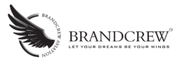 Brandcrew Aviation Academy Bangalore logo